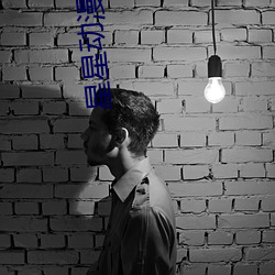 星星动漫(漫)网官网(網)在线观看(看)免(免)