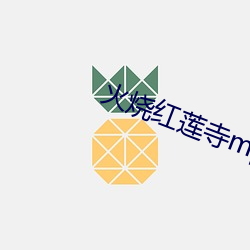 火烧红莲寺mp4