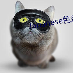 Japanese色系 （轰炸机）