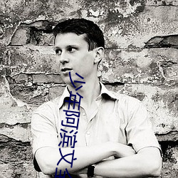 少年阿滨文(wén)全文免费(fèi)阅读小(xiǎo)