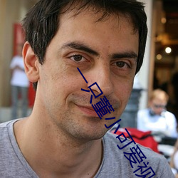 一只董小可愛視頻
