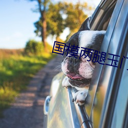 国模两腿玉门打开图无码