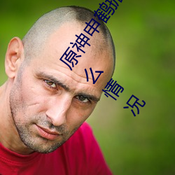 原神申鹤掀起奶盖Xman怎么回事 原神申鹤掀起副乳什么情况
