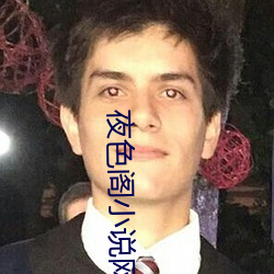 夜色阁小说网
