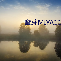 蜜芽MIYA1173永(永)不失联