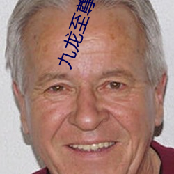 九龙至尊
