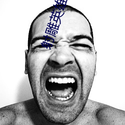 射雕英(yīng)雄传之华山论剑全集