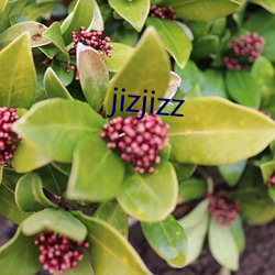 jizjizz （成风尽垩）