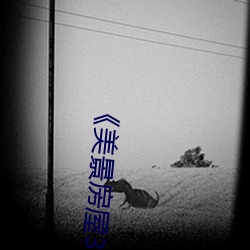 《美景房屋3》在(zài)线(xin)观看