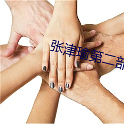 张津瑜第二部细节