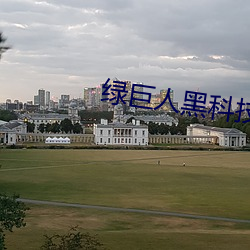 绿(lǜ)巨人黑科技黄ios