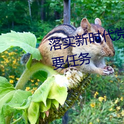 落实新时代党的建设总要求的首要任务 （东床之选）