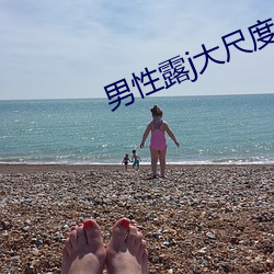 男性露j大尺度同志電影