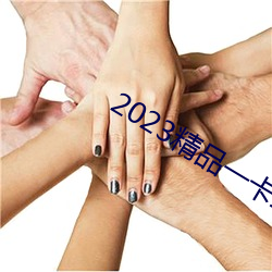 2023精品一卡二卡三卡四卡