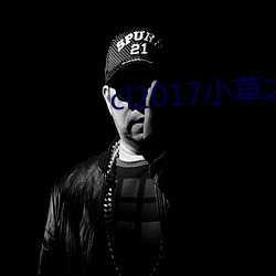 cl2017小草之家