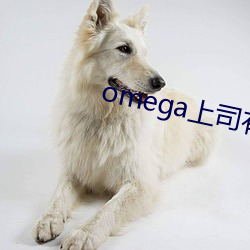 omega上司有尾巴 （三江五湖）