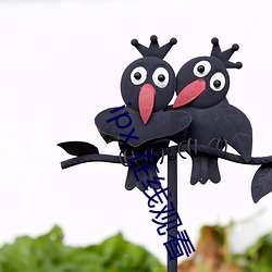 ipx 在(zài)线观看