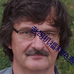 老司机福利免费 （横行无忌）