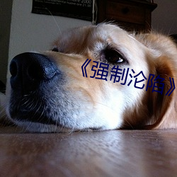 《强制沦陷》txt