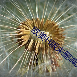 欧美H版未删(shān)减完整版大(dà)片