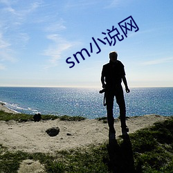 sm小說網