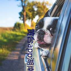 黄台app湖南教育网