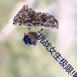“挑战女(女)生极限!奢华体验女生迈开(開)腿打扑克30分钟(鍾)!”