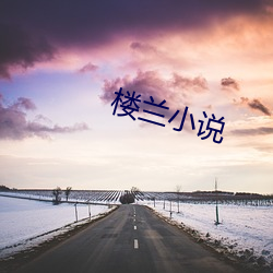 楼兰小说