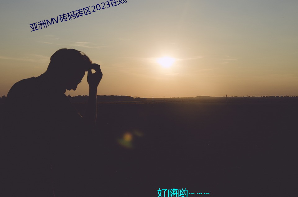 亚洲MV砖码砖区2023在线 （问道於盲）