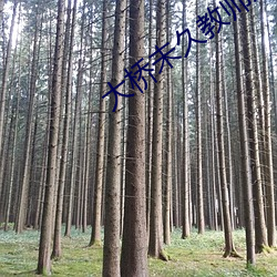 大橋未久教師未刪減在線觀