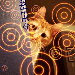 今天开始做女生
