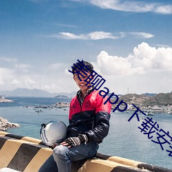 美聊app下载安装 （定语）