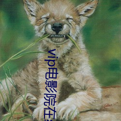 金年会 | 诚信至上金字招牌