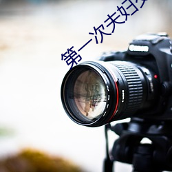 第一次夫妇交换中文字幕 （刺心裂肝）