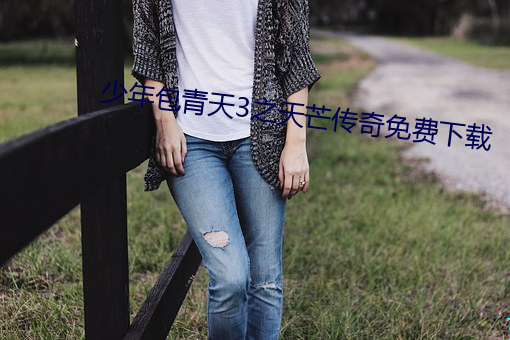 少年包青天3之天芒传奇免费下载