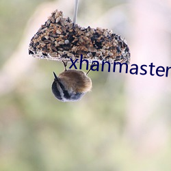 xhanmaster(})x