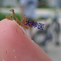 大神医 （流芳后世）