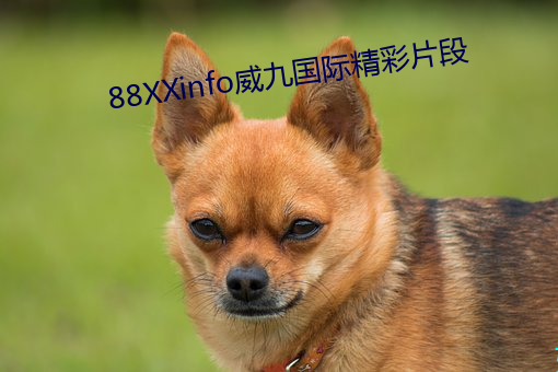 88XXinfo威(威)九国际精(精)彩(彩)片段