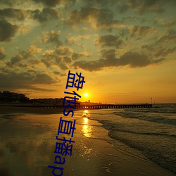 盤他s直播app免費下載