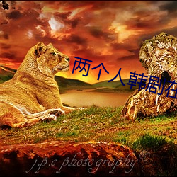 &#x82AD;&#20048;&#x89C6;&#39057;app&#36719;&#x4EF6;&#19979;&#x8F7D;&#27745;&#x6C61;&#22312;&#x7EBF;&#38405;&#x8BFB;&#26368;&#x65B0;app | &#22312;&#x7EBF;&#35266;&#x770B;[HD]