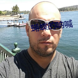 蝴蝶的呐喊