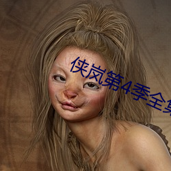 俠岚第4季全集