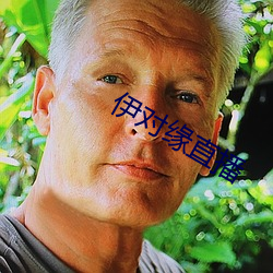 伊對緣直播
