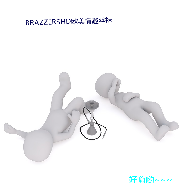 BRAZZERSHD欧美情趣丝袜 （膏车秣马）