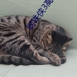 钢铁(鐵)侠3高(高)清(清)壁纸