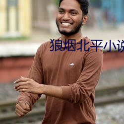 狼(狼)烟北平(平)小说