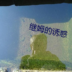 继姆的诱惑