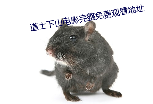 道士下山電影完整免費觀看地址