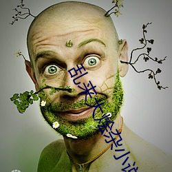 乱(luàn)来(lái)大烩杂小(xiǎo)说(shuō)