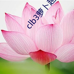 clb3萝卜越勃越有劲安卓